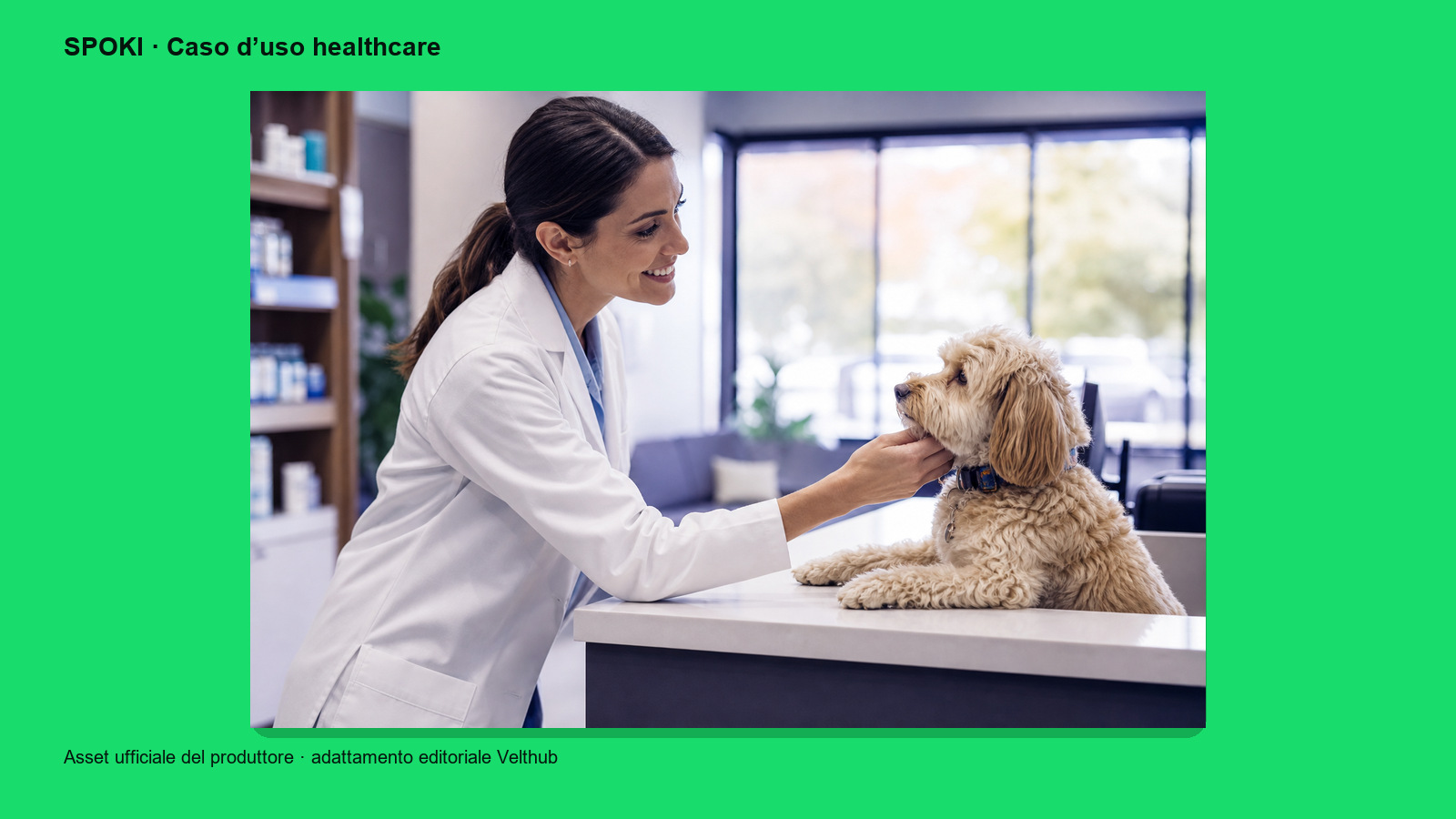 Veterinaria con un cane, visual del caso d’uso pubblicato da Spoki Voice
